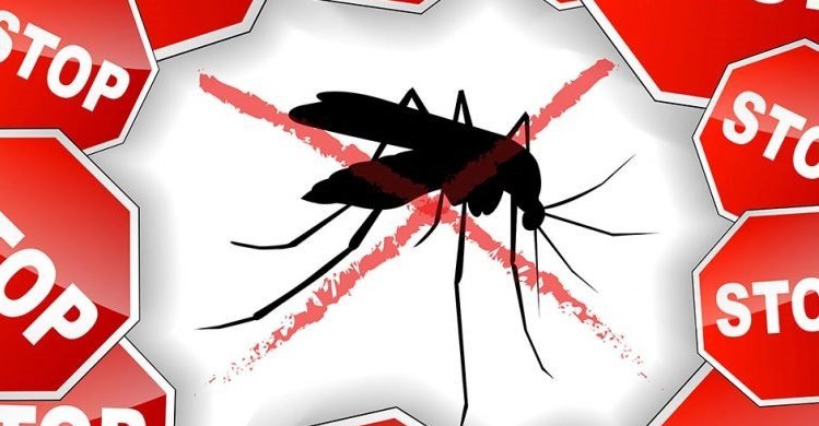 Obavijest o dezinsekciji komaraca na području općine Hrvatska Dubica